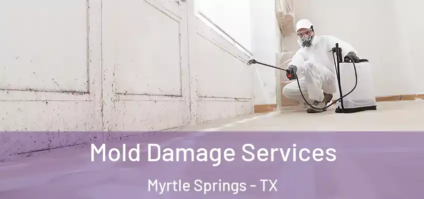 Mold Damage Services Myrtle Springs - TX