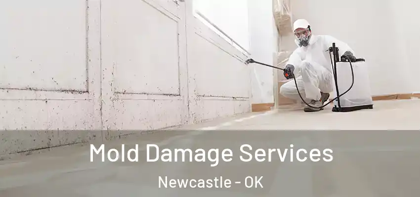 Mold Damage Services Newcastle - OK