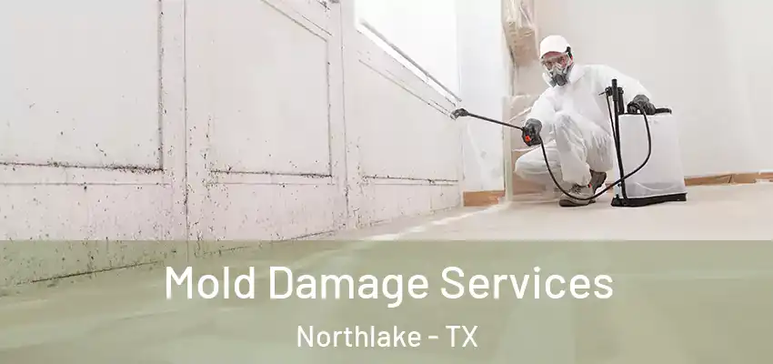 Mold Damage Services Northlake - TX