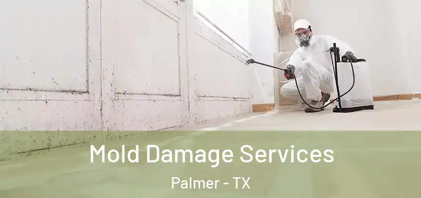  Mold Damage Services Palmer - TX
