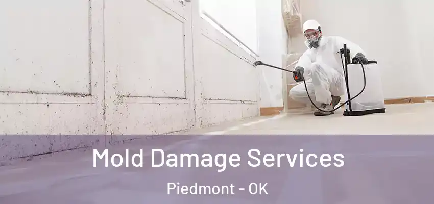  Mold Damage Services Piedmont - OK