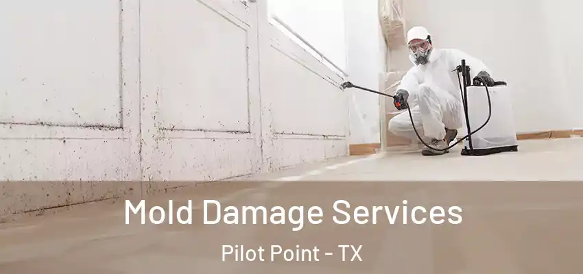 Mold Damage Services Pilot Point - TX