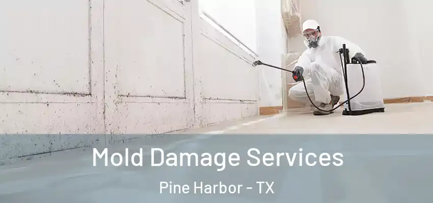 Mold Damage Services Pine Harbor - TX