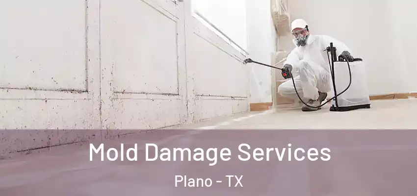 Mold Damage Services Plano - TX