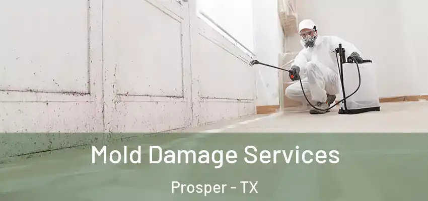 Mold Damage Services Prosper - TX