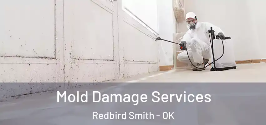 Mold Damage Services Redbird Smith - OK
