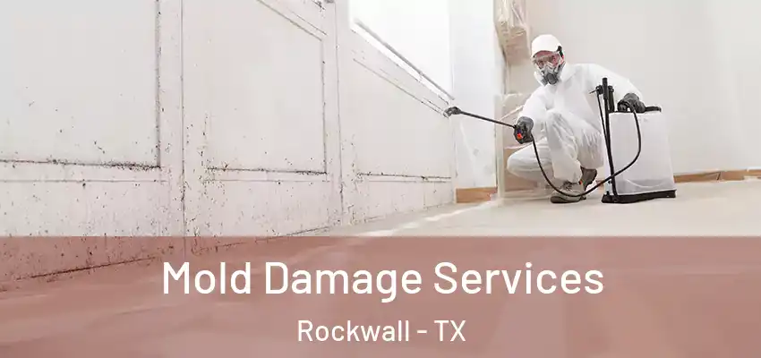  Mold Damage Services Rockwall - TX