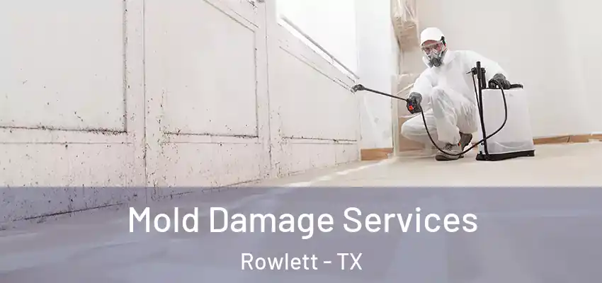 Mold Damage Services Rowlett - TX