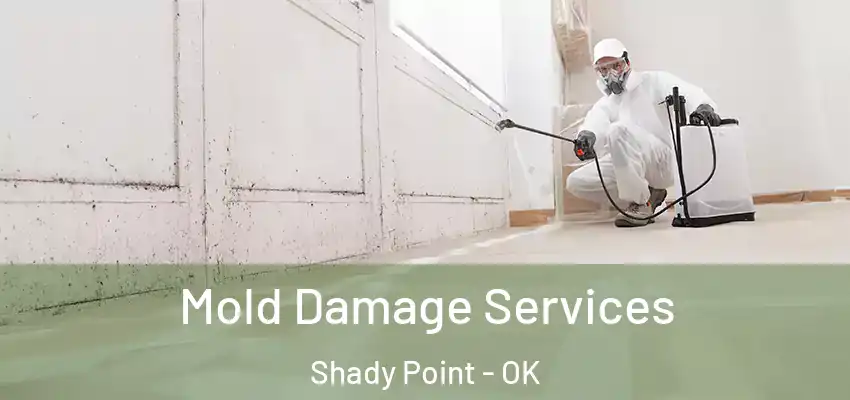  Mold Damage Services Shady Point - OK
