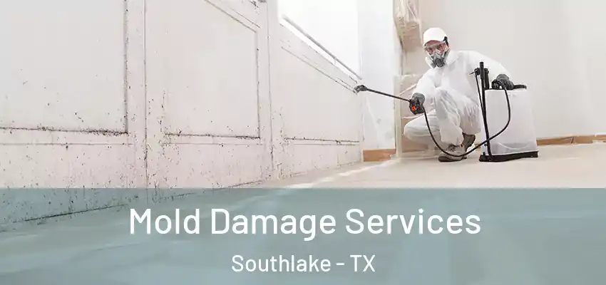  Mold Damage Services Southlake - TX