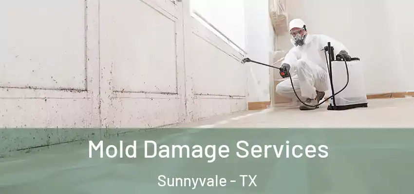 Mold Damage Services Sunnyvale - TX