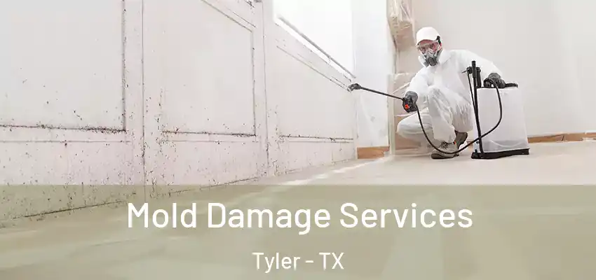 Mold Damage Services Tyler - TX