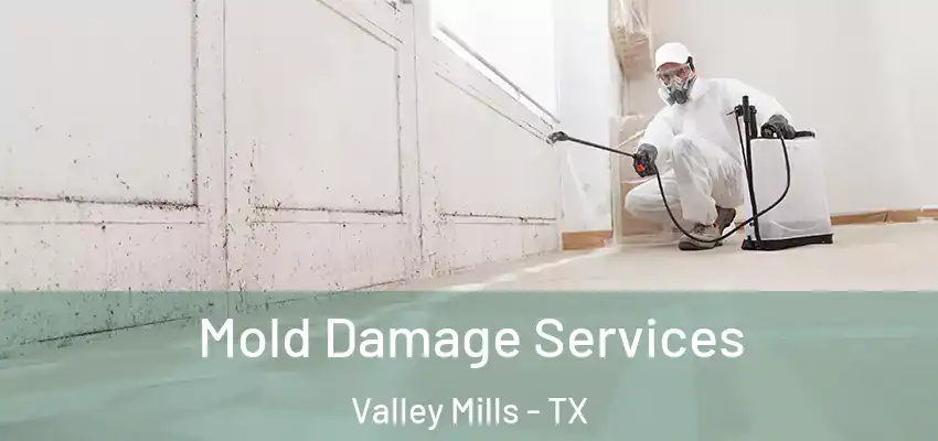 Mold Damage Services Valley Mills - TX