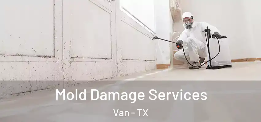 Mold Damage Services Van - TX