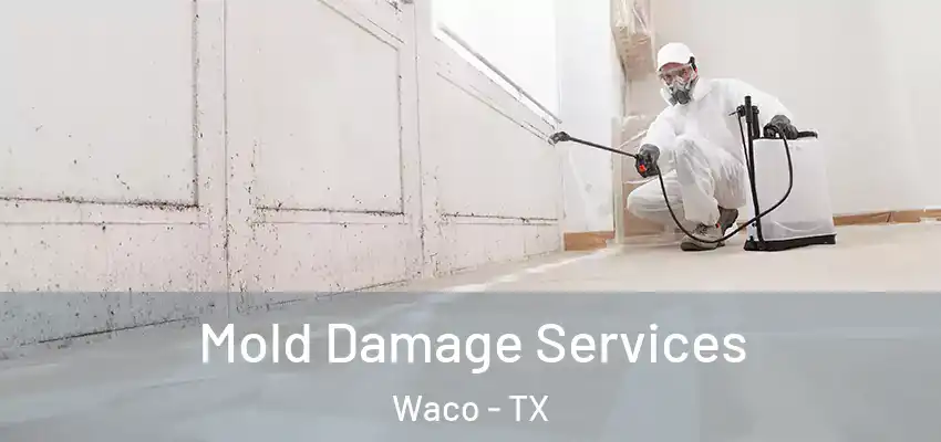 Mold Damage Services Waco - TX