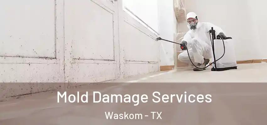 Mold Damage Services Waskom - TX
