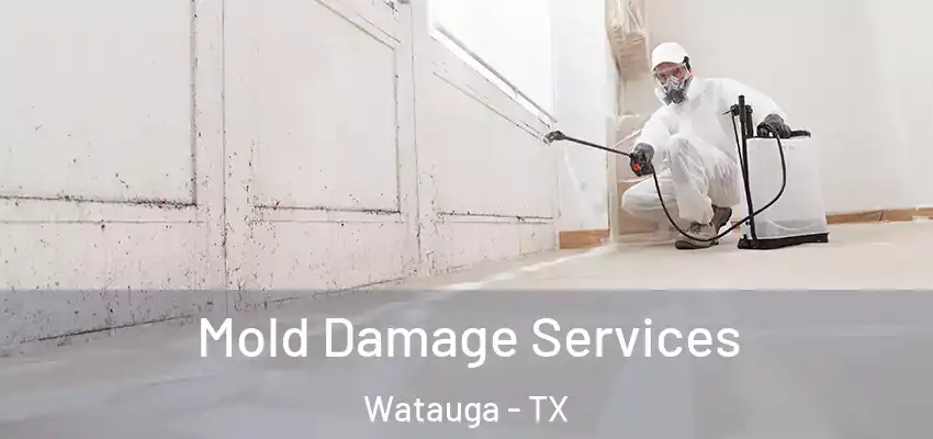  Mold Damage Services Watauga - TX