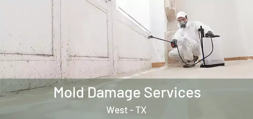 Mold Damage Services West - TX