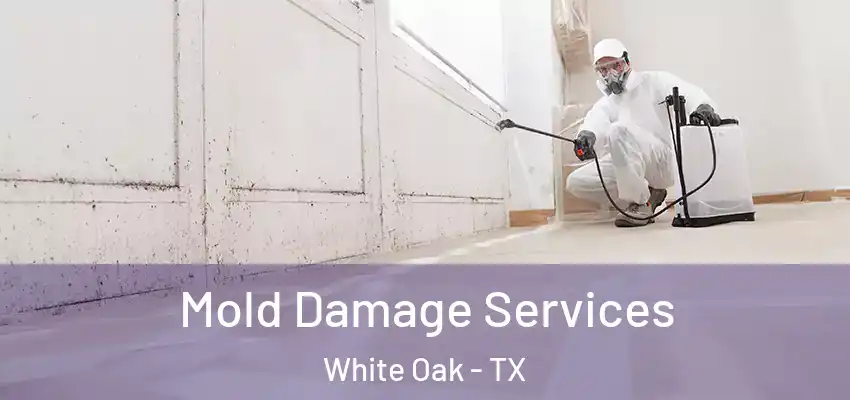 Mold Damage Services White Oak - TX