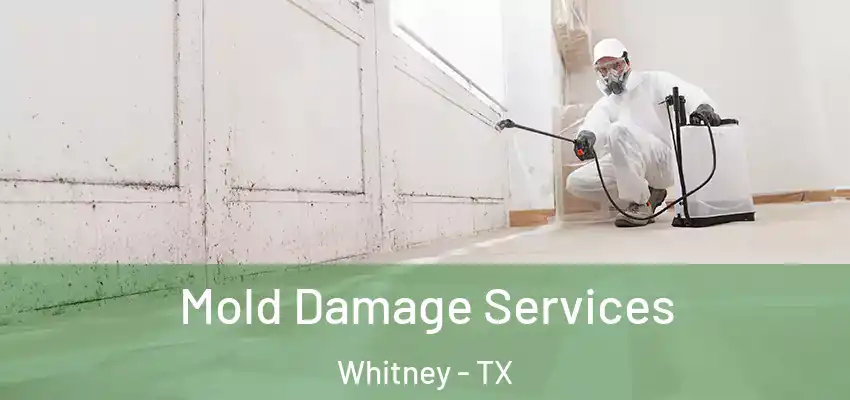  Mold Damage Services Whitney - TX