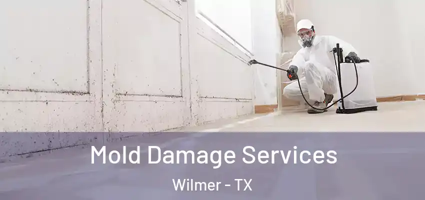 Mold Damage Services Wilmer - TX