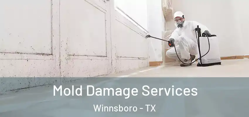 Mold Damage Services Winnsboro - TX