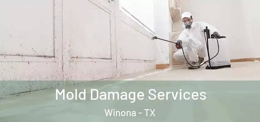 Mold Damage Services Winona - TX