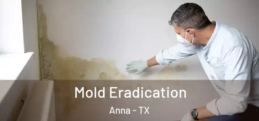  Mold Eradication Anna - TX