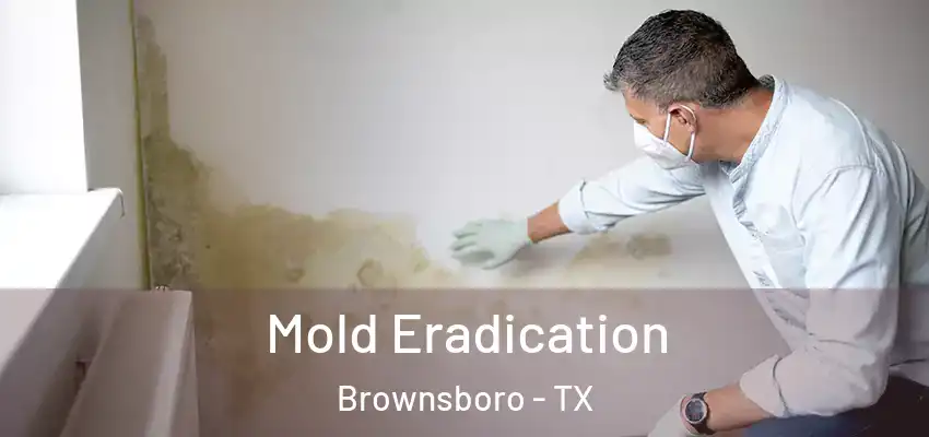  Mold Eradication Brownsboro - TX