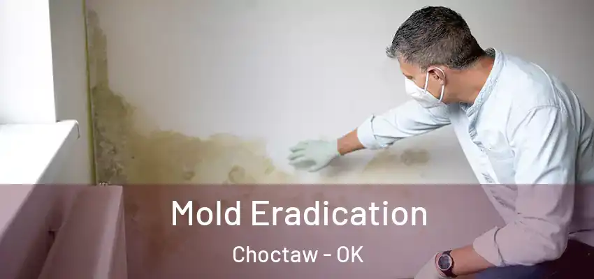 Mold Eradication Choctaw - OK