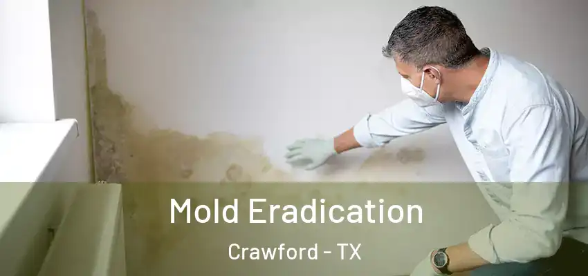Mold Eradication Crawford - TX