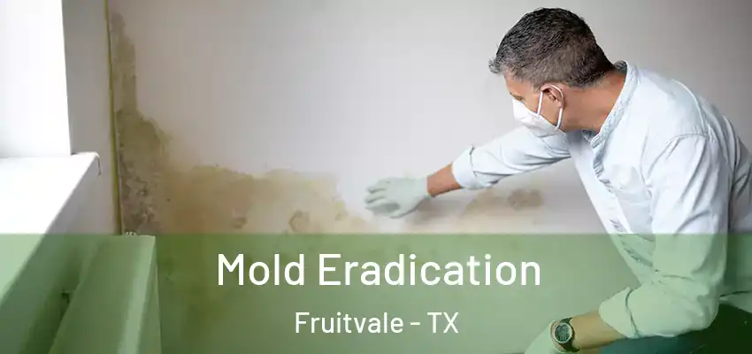  Mold Eradication Fruitvale - TX