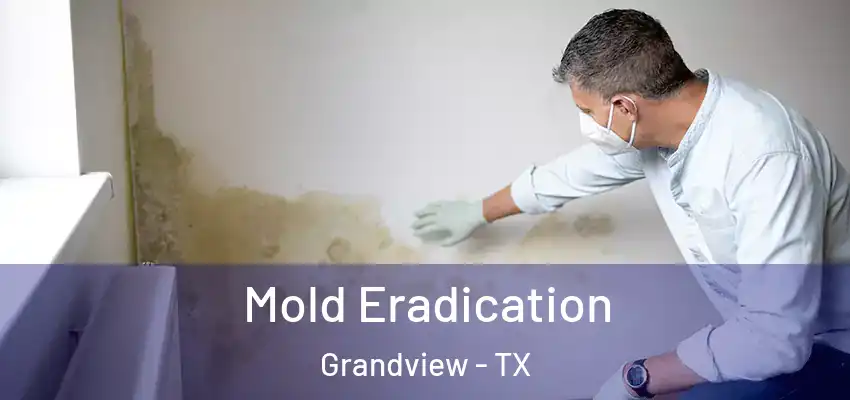  Mold Eradication Grandview - TX