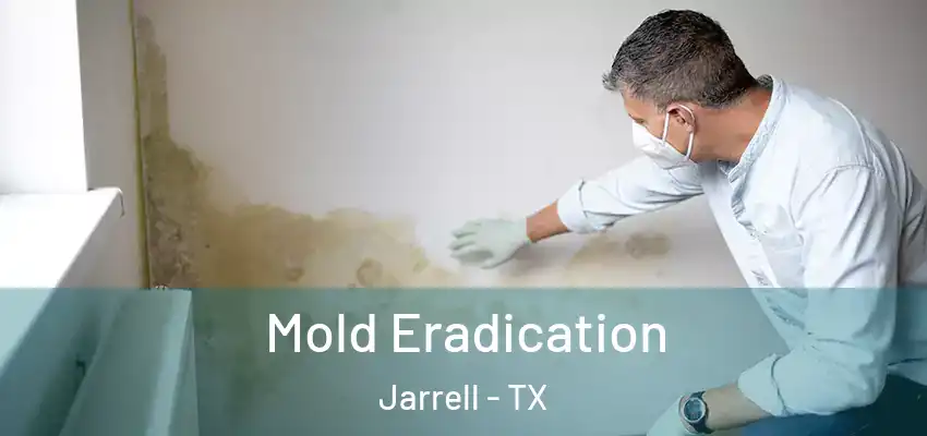 Mold Eradication Jarrell - TX