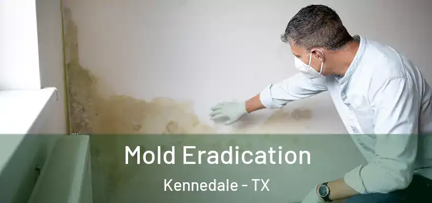  Mold Eradication Kennedale - TX