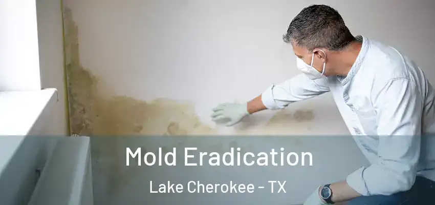 Mold Eradication Lake Cherokee - TX