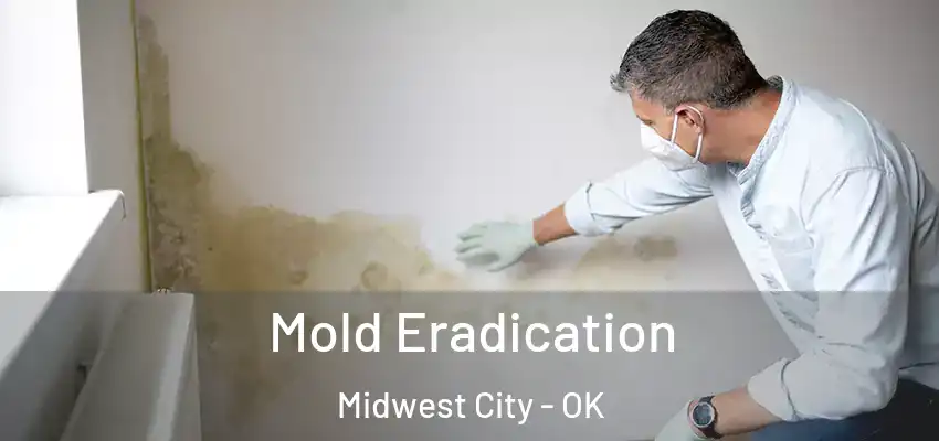  Mold Eradication Midwest City - OK