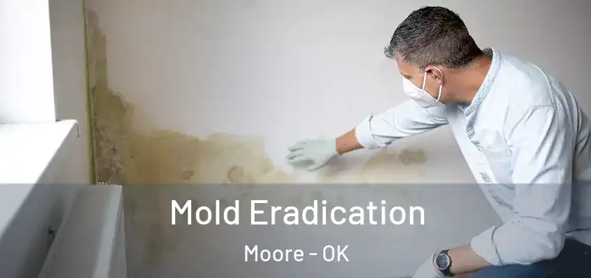 Mold Eradication Moore - OK