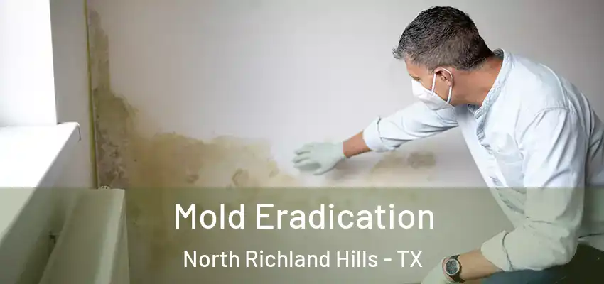  Mold Eradication North Richland Hills - TX