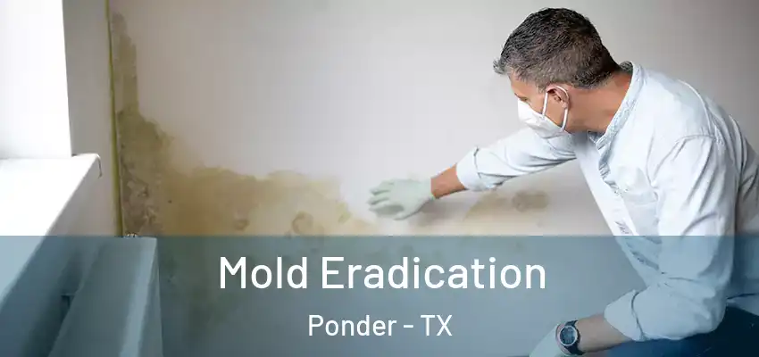 Mold Eradication Ponder - TX