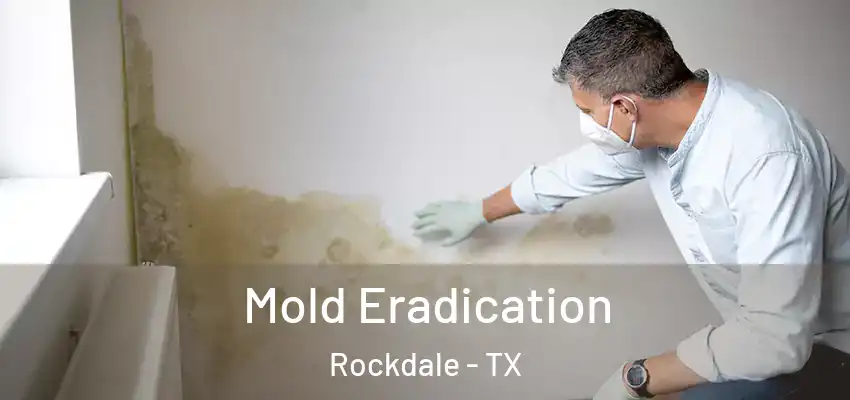 Mold Eradication Rockdale - TX