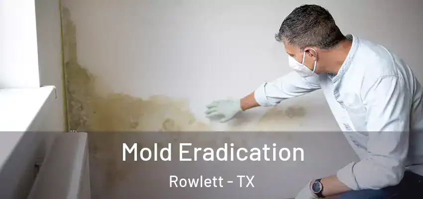 Mold Eradication Rowlett - TX