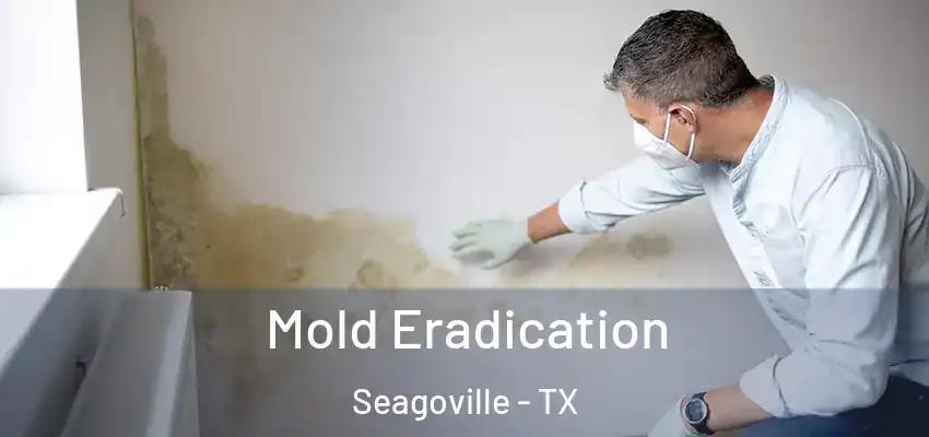 Mold Eradication Seagoville - TX