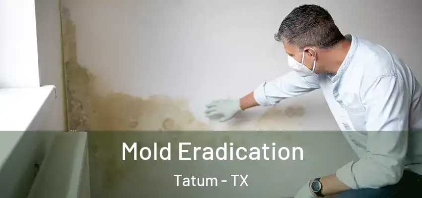 Mold Eradication Tatum - TX