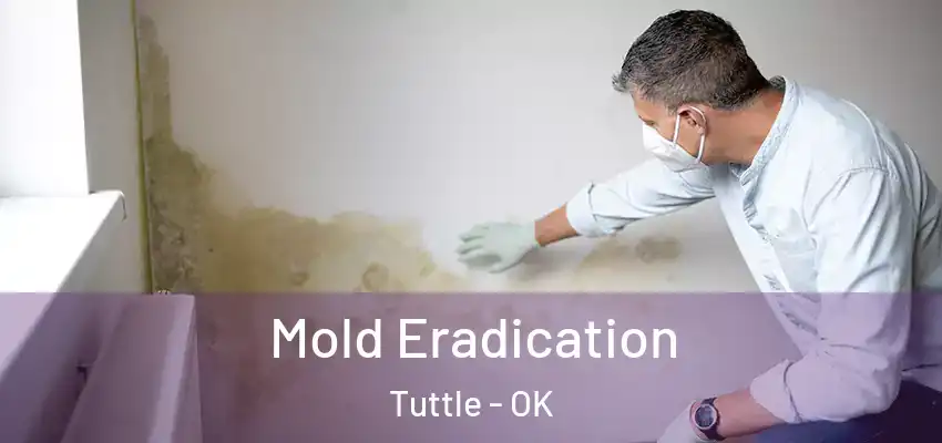 Mold Eradication Tuttle - OK
