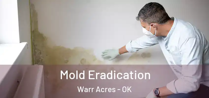 Mold Eradication Warr Acres - OK