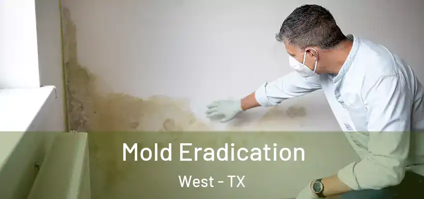 Mold Eradication West - TX