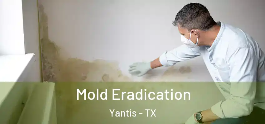 Mold Eradication Yantis - TX