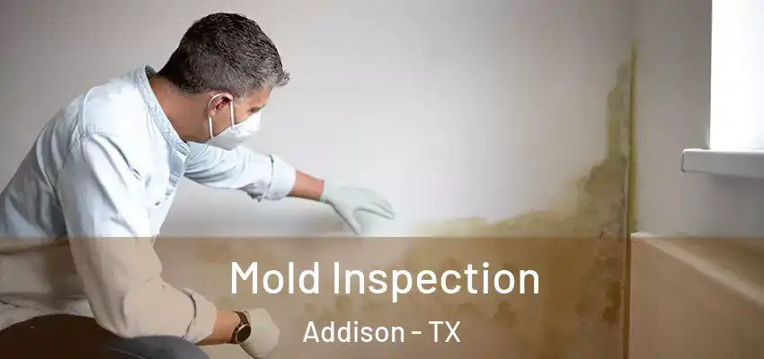  Mold Inspection Addison - TX