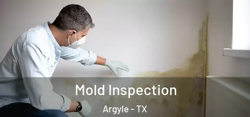  Mold Inspection Argyle - TX